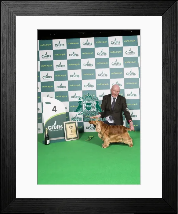 Framed Print : Gundog Group Winner 4th Place Framed Print : Gundog Group Winner 4th Place