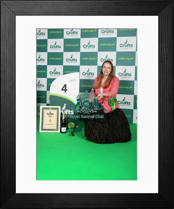 Framed Print : Group Winner Pastoral 4th place Hungarian Puli Framed Print : Group Winner Pastoral 4th place Hungarian Puli