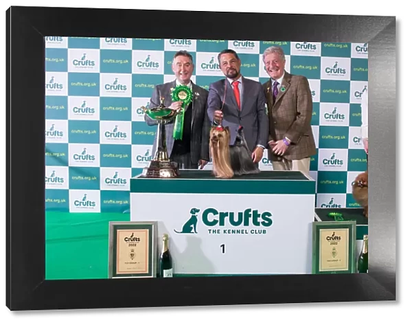 Group Winner 1st Toy Group Yorkshire Terrier Crufts 2022