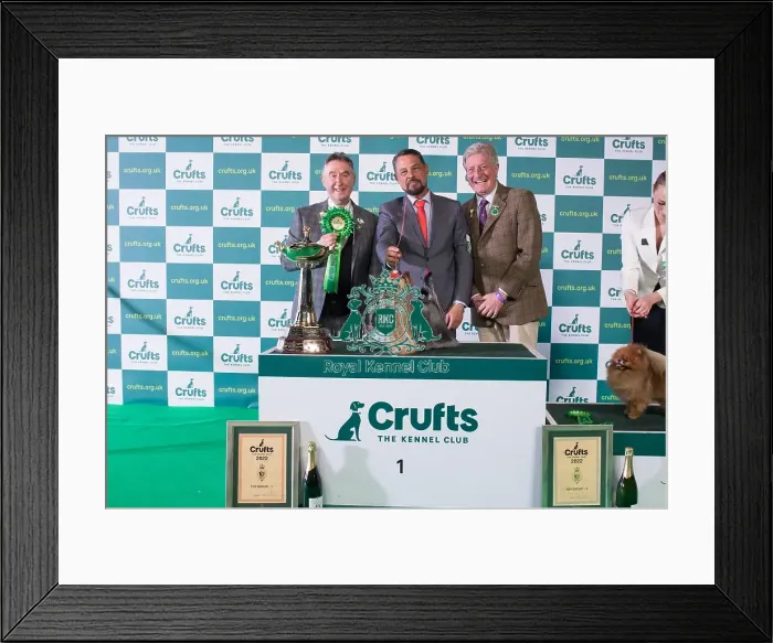Framed Print : Group Winner 1st Toy Group Yorkshire Terrier Crufts 2022 Framed Print : Group Winner 1st Toy Group Yorkshire Terrier Crufts 2022