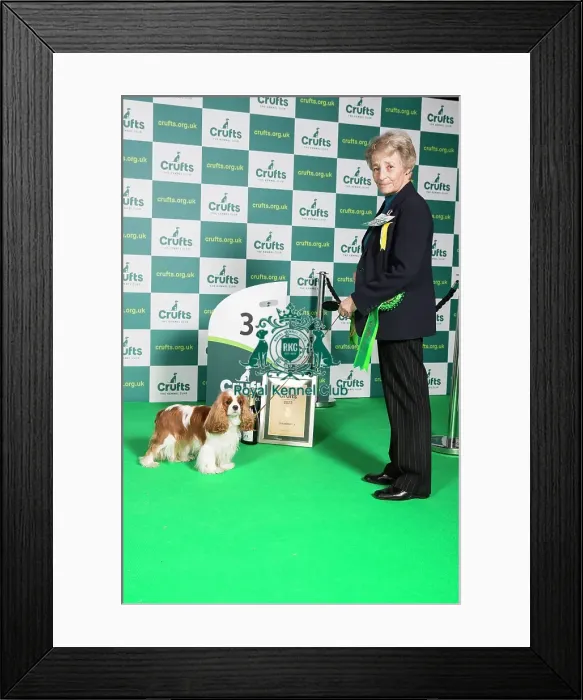 Framed Print : Group Toy Group winner 3rd place
