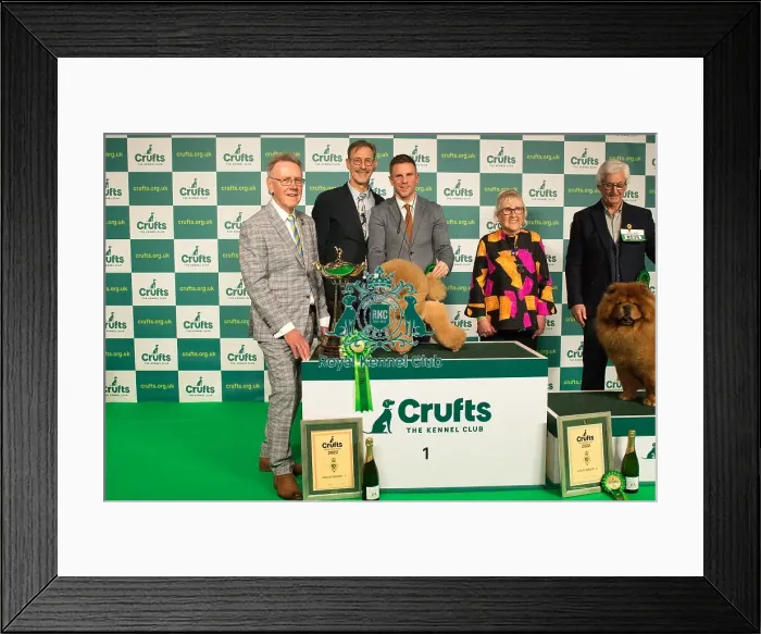 Framed Print : Group Winner 1st place Toy Group Framed Print : Group Winner 1st place Toy Group