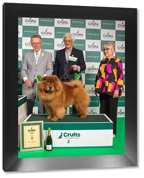 Group Winner 2nd place Utility CHOW CHOW