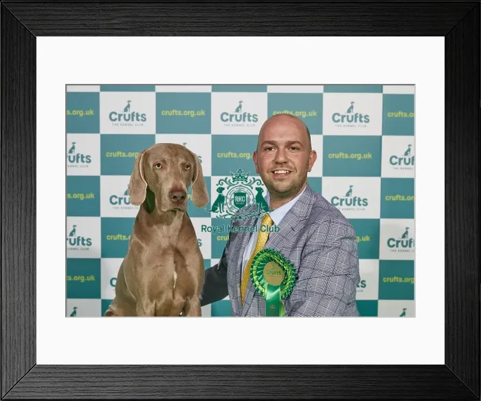 Framed Print : Crufts 2022 Framed Print : Crufts 2022