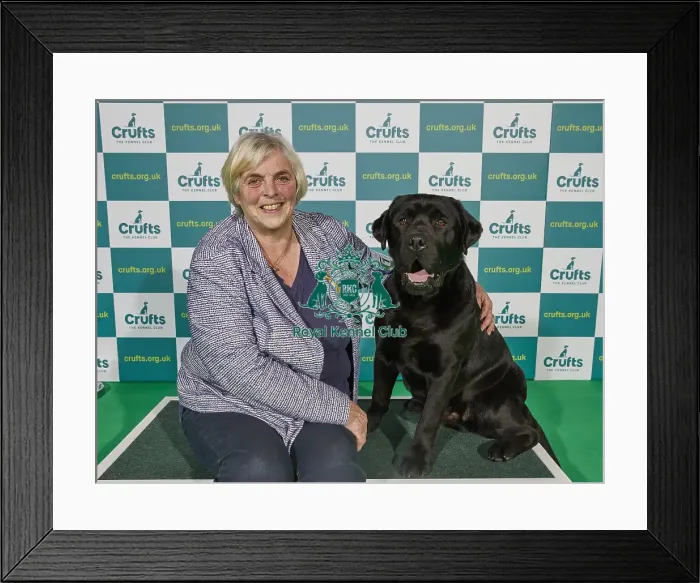 Framed Print : Crufts 2022