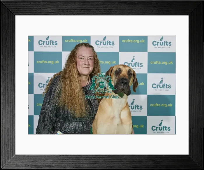 Framed Print : Crufts 2022 Framed Print : Crufts 2022