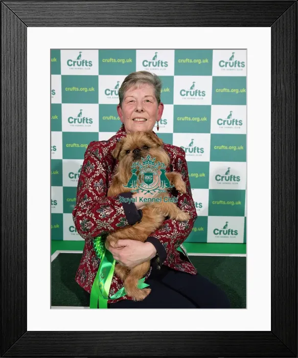 Framed Print : Crufts 2022 Framed Print : Crufts 2022