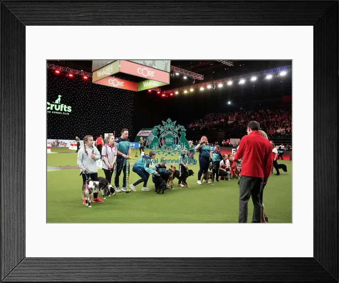 Framed Print : Flyball Crufts 2022 Framed Print : Flyball Crufts 2022