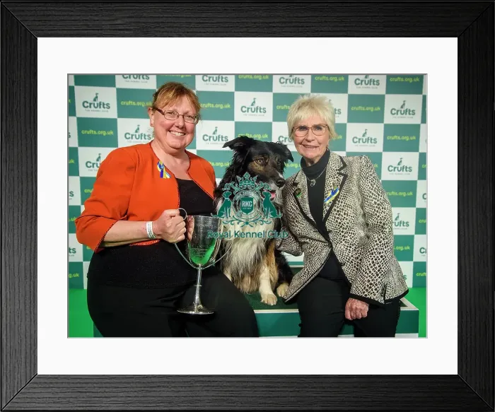 Framed Print : Crufts 2022 Framed Print : Crufts 2022