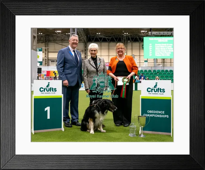 Framed Print : Crufts 2022 Framed Print : Crufts 2022