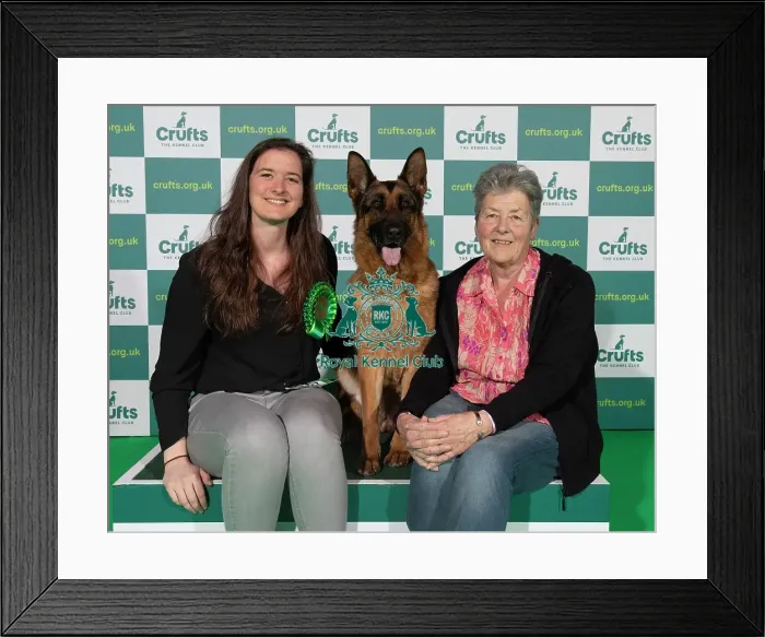 Framed Print : Crufts 2022 Framed Print : Crufts 2022