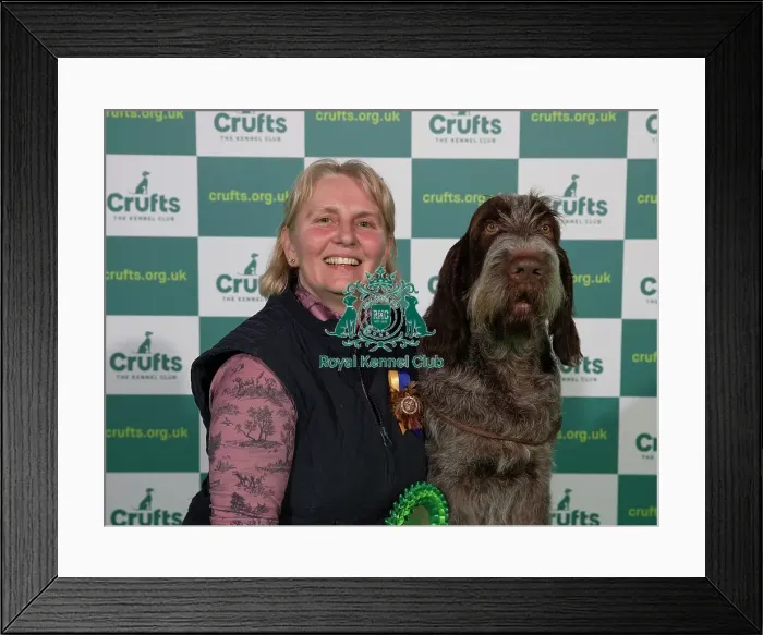 Framed Print : Crufts 2022 Framed Print : Crufts 2022