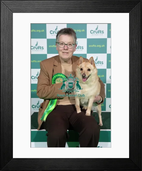 Framed Print : Crufts 2022 Framed Print : Crufts 2022