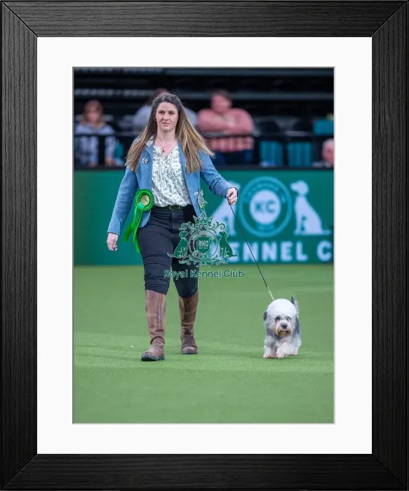 Framed Print : Crufts 2022 Framed Print : Crufts 2022