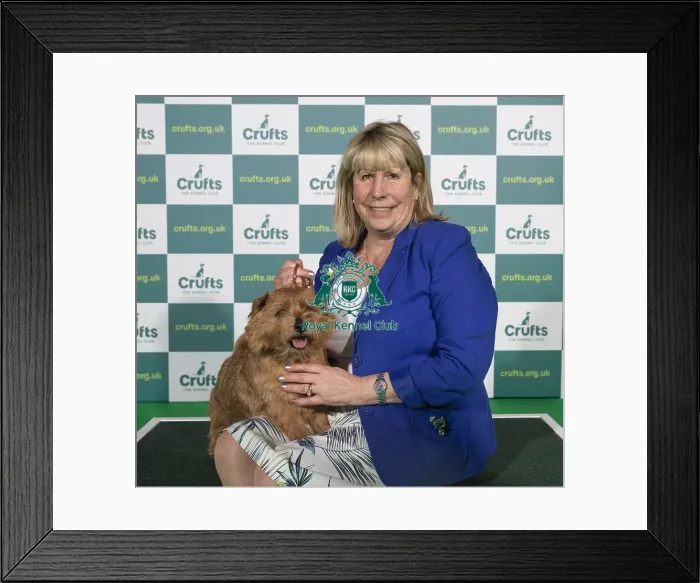 Framed Print : Crufts 2022 Framed Print : Crufts 2022