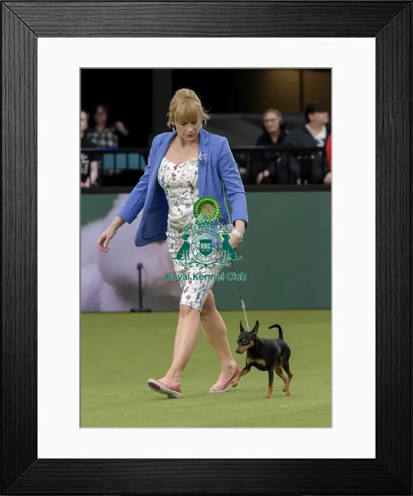 Framed Print : Crufts 2022 Framed Print : Crufts 2022