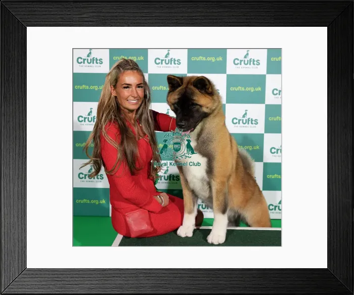 Framed Print : Crufts 2022