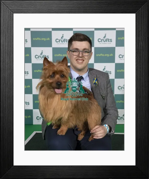 Framed Print : Crufts 2022 Framed Print : Crufts 2022