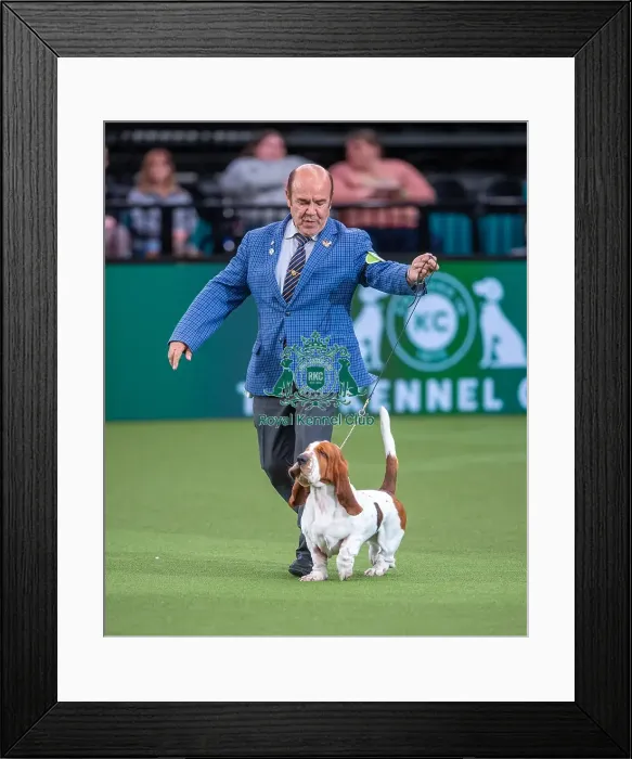 Framed Print : Crufts 2022 Framed Print : Crufts 2022