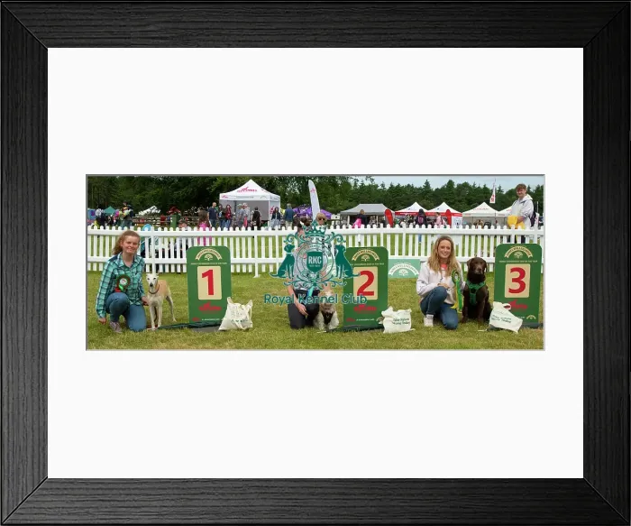 Framed Print : Scruffts 2023 regional round DogFest Tatton Park, Manchester Framed Print : Scruffts 2023 regional round DogFest Tatton Park, Manchester