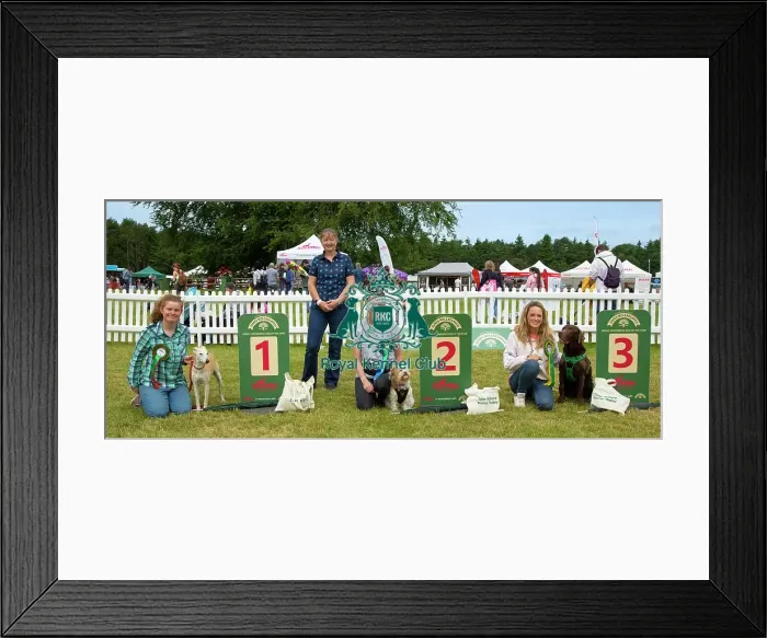 Framed Print : Scruffts 2023 regional round DogFest Tatton Park, Manchester Framed Print : Scruffts 2023 regional round DogFest Tatton Park, Manchester