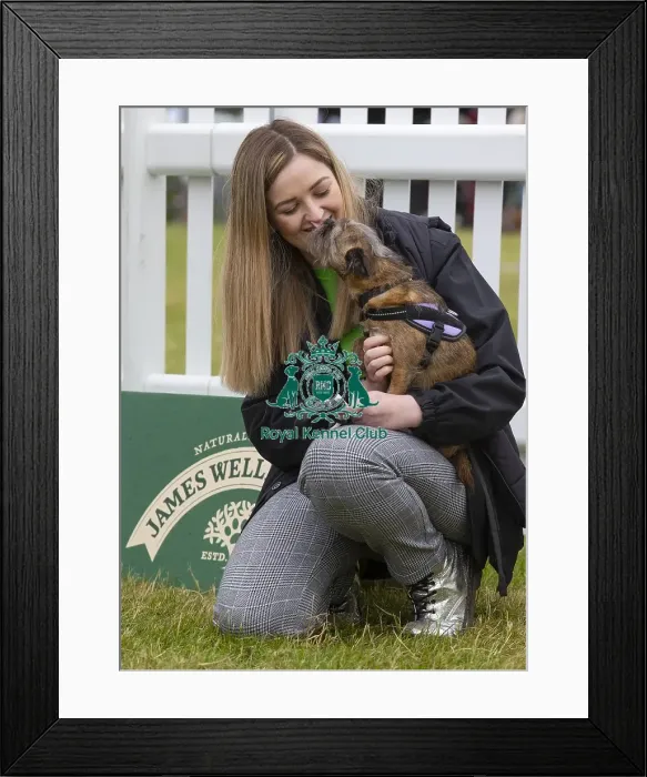 Framed Print : Scruffts 2023 regional round DogFest Tatton Park, Manchester Framed Print : Scruffts 2023 regional round DogFest Tatton Park, Manchester