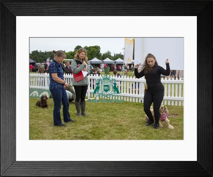 Framed Print : Scruffts 2023 regional round DogFest Tatton Park, Manchester Framed Print : Scruffts 2023 regional round DogFest Tatton Park, Manchester