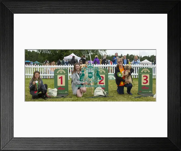 Framed Print : Scruffts 2023 regional round DogFest Tatton Park, Manchester Framed Print : Scruffts 2023 regional round DogFest Tatton Park, Manchester