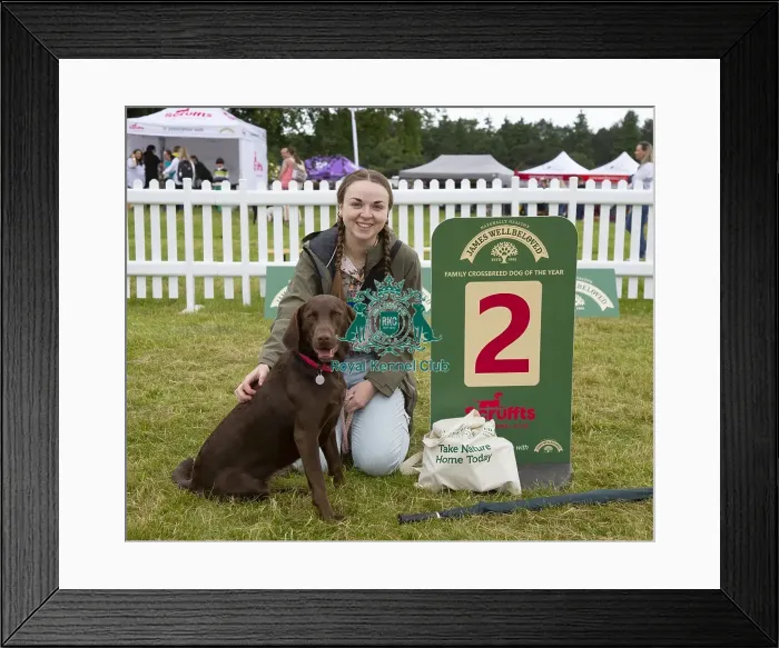 Framed Print : Scruffts 2023 regional round DogFest Tatton Park, Manchester Framed Print : Scruffts 2023 regional round DogFest Tatton Park, Manchester