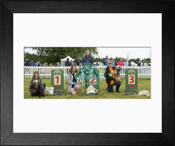 Framed Print : Scruffts 2023 regional round DogFest Tatton Park, Manchester Framed Print : Scruffts 2023 regional round DogFest Tatton Park, Manchester