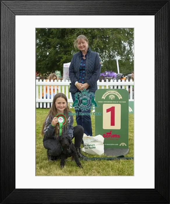 Framed Print : Scruffts 2023 regional round DogFest Tatton Park, Manchester Framed Print : Scruffts 2023 regional round DogFest Tatton Park, Manchester