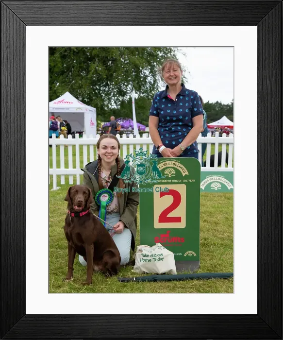 Framed Print : Scruffts 2023 regional round DogFest Tatton Park, Manchester Framed Print : Scruffts 2023 regional round DogFest Tatton Park, Manchester