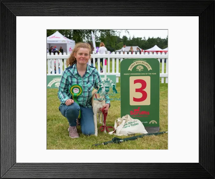 Framed Print : Scruffts 2023 regional round DogFest Tatton Park, Manchester Framed Print : Scruffts 2023 regional round DogFest Tatton Park, Manchester