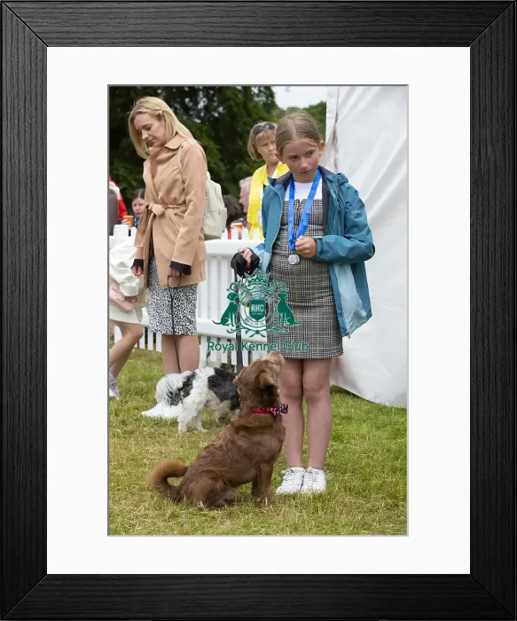 Framed Print : Scruffts 2023 regional round DogFest Tatton Park, Manchester Framed Print : Scruffts 2023 regional round DogFest Tatton Park, Manchester
