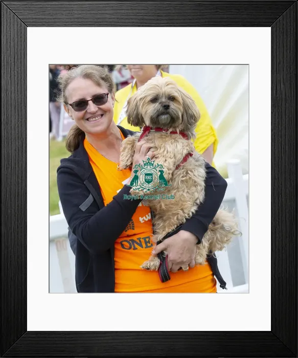 Framed Print : Scruffts 2023 regional round DogFest Tatton Park, Manchester Framed Print : Scruffts 2023 regional round DogFest Tatton Park, Manchester