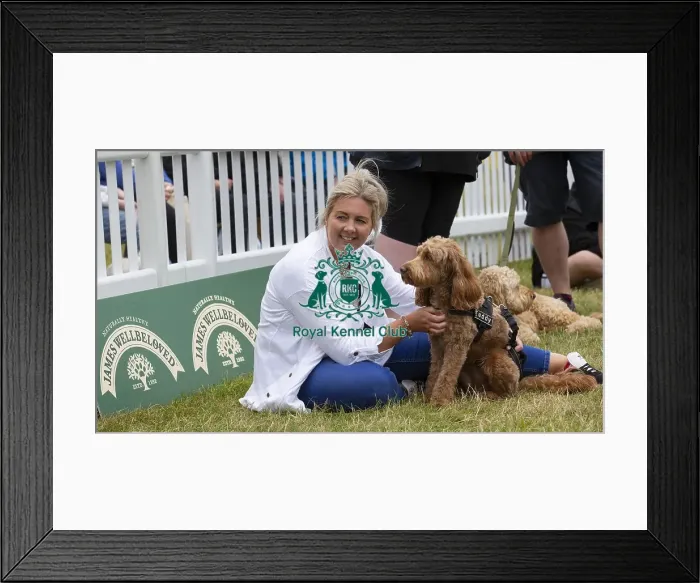 Framed Print : Scruffts 2023 regional round DogFest Tatton Park, Manchester Framed Print : Scruffts 2023 regional round DogFest Tatton Park, Manchester