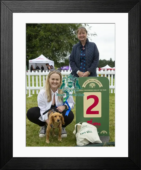 Framed Print : Scruffts 2023 regional round DogFest Tatton Park, Manchester Framed Print : Scruffts 2023 regional round DogFest Tatton Park, Manchester