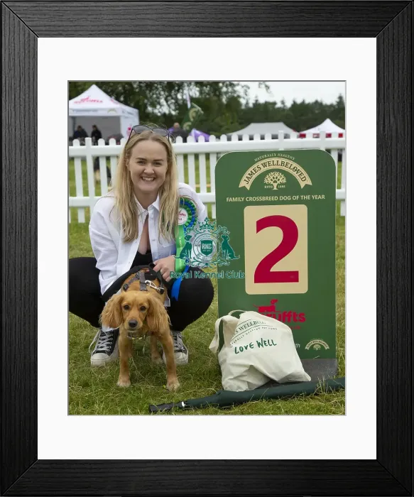 Framed Print : Scruffts 2023 regional round DogFest Tatton Park, Manchester Framed Print : Scruffts 2023 regional round DogFest Tatton Park, Manchester