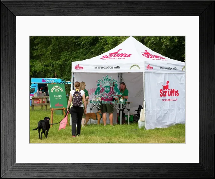 Framed Print : Scruffts 2023 regional round DogFest Tatton Park, Manchester Framed Print : Scruffts 2023 regional round DogFest Tatton Park, Manchester