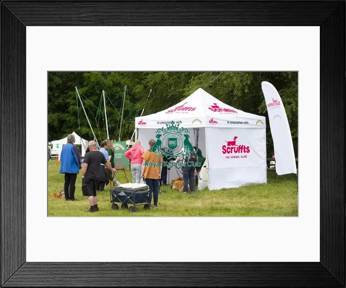 Framed Print : Scruffts 2023 regional round DogFest Tatton Park, Manchester Framed Print : Scruffts 2023 regional round DogFest Tatton Park, Manchester