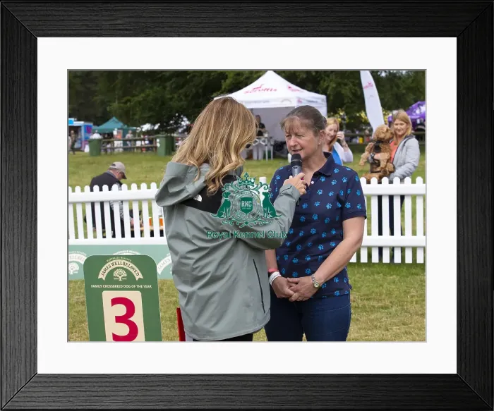 Framed Print : Scruffts 2023 regional round DogFest Tatton Park, Manchester Framed Print : Scruffts 2023 regional round DogFest Tatton Park, Manchester