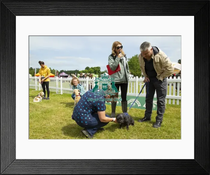 Framed Print : Scruffts 2023 regional round DogFest Tatton Park, Manchester Framed Print : Scruffts 2023 regional round DogFest Tatton Park, Manchester