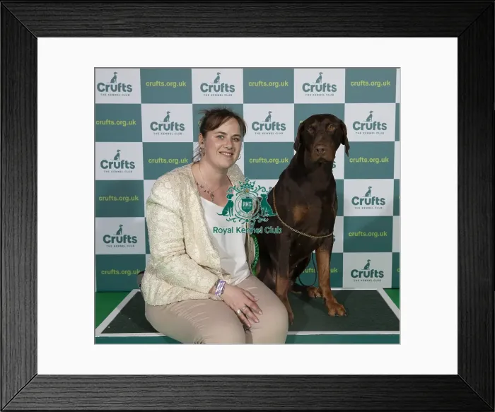 Framed Print : Crufts 2022 Framed Print : Crufts 2022