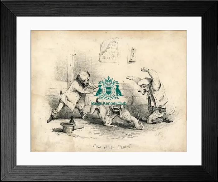 Framed Print : My Book of Curs, Curs of the Fancy Framed Print : My Book of Curs, Curs of the Fancy