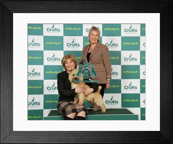 Framed Print : Elizabeth Theodorson and Merril Schmitt from Canada with Danny, a Cairn Terrier, which was the Best of Breed winner today (Saturday 11. 03. 23), the third day of Crufts 2023, at the NEC Birmingham Framed Print : Elizabeth Theodorson and Merril Schmitt from Canada with Danny, a Cairn Terrier, which was the Best of Breed winner today (Saturday 11. 03. 23), the third day of Crufts 2023, at the NEC Birmingham