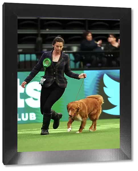Michelle Elkin from Rickmansworth with Quentin, a Nova Scotia Duck Tolling Retriever, which was the Best of Breed winner today (Thursday 09. 03. 23), the first day of Crufts 2023, at the NEC Birmingham