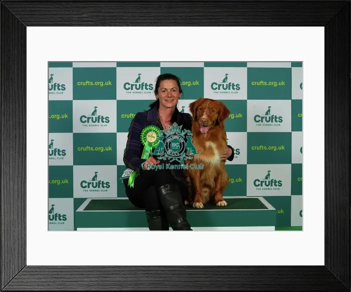 Framed Print : Michelle Elkin from Rickmansworth with Quentin, a Nova Scotia Duck Tolling Retriever, which was the Best of Breed winner today (Thursday 09. 03. 23), the first day of Crufts 2023, at the NEC Birmingham Framed Print : Michelle Elkin from Rickmansworth with Quentin, a Nova Scotia Duck Tolling Retriever, which was the Best of Breed winner today (Thursday 09. 03. 23), the first day of Crufts 2023, at the NEC Birmingham