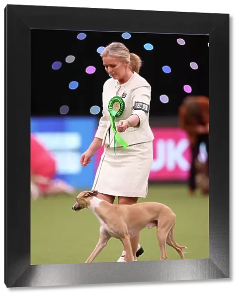 Heidi Bekkvang from Norway with Jasper, a Whippet, which was the Best of Breed winner today (Saturday 11. 03. 23), the third day of Crufts 2023, at the NEC Birmingham