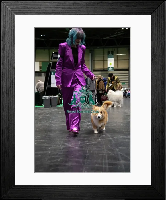 Framed Print : Crowd Shot Dogs And People Framed Print : Crowd Shot Dogs And People