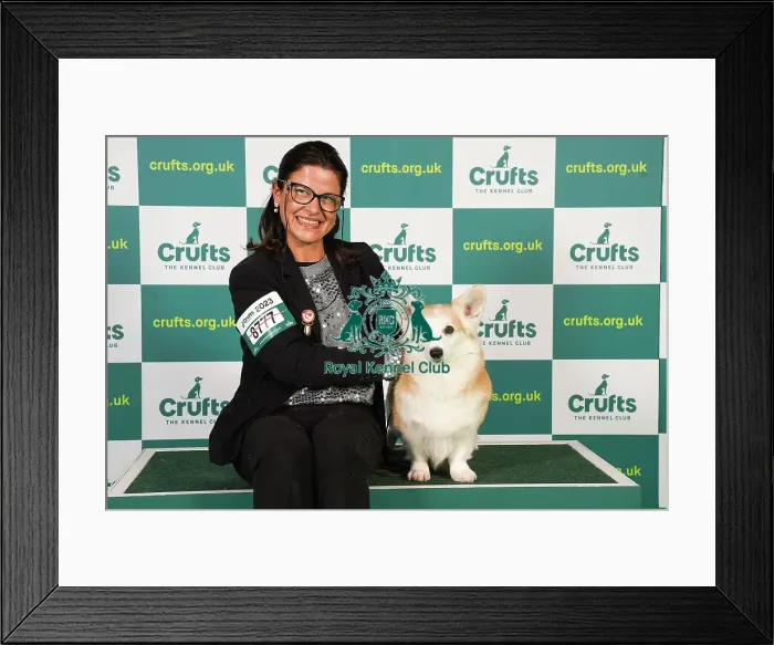 Framed Print : Chiara Ceredi from Italy with Penny, a Welsh Corgi (Pembroke), which was the Best of Breed winner today (Friday 10. 03. 23), the second day of Crufts 2023, at the NEC Birmingham